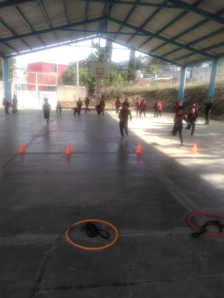 Actividades deportivas